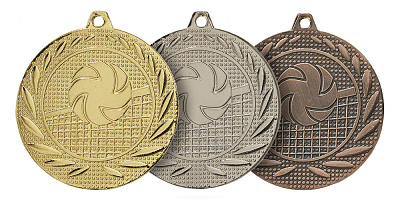 Медаль 515 Волейбол 